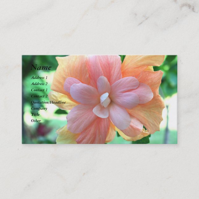 Beautiful Yellow, Orange and Pink Hibiscus Flower Business Card (Front)