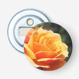 beautiful yellow rose flower. floral photo art. bottle opener