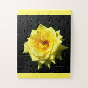 Beautiful yellow rose flower jigsaw puzzle