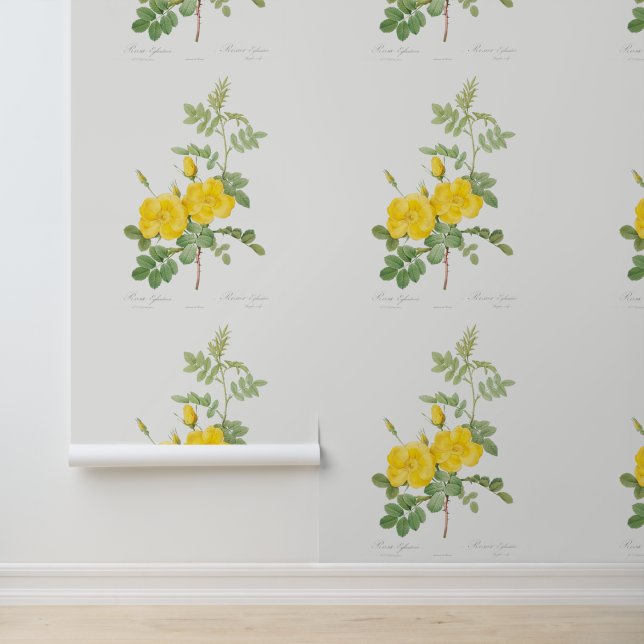 Beautiful Yellow Rose Garden Girly Flower Wallpaper (Application)