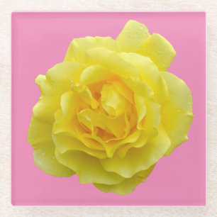 Beautiful yellow rose glass coaster