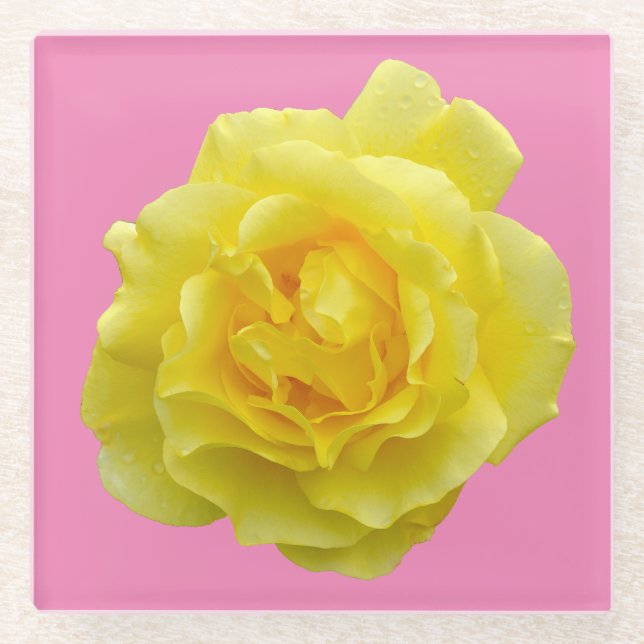 Beautiful yellow rose glass coaster (Front)