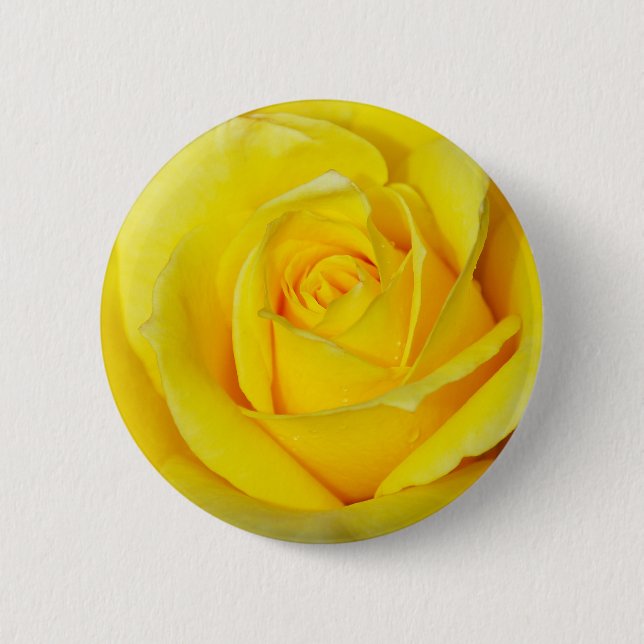 Beautiful yellow rose petals 6 cm round badge (Front)