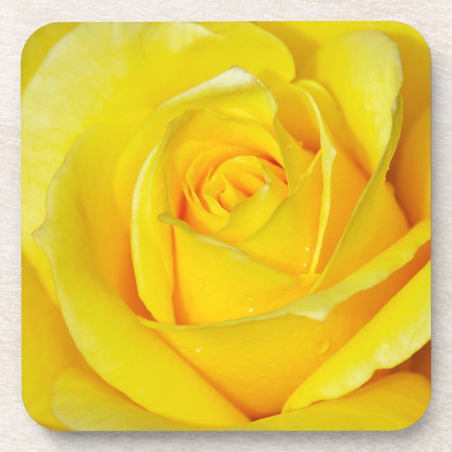 Beautiful yellow rose petals coaster (Front)