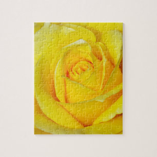Beautiful yellow rose petals jigsaw puzzle