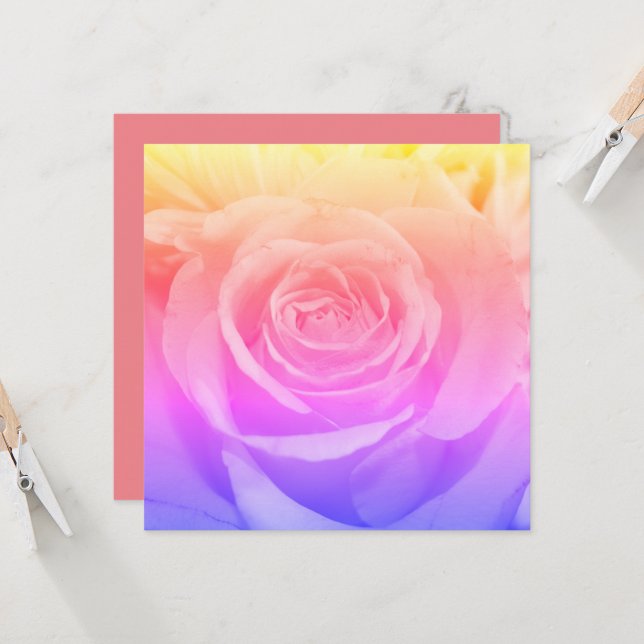 Beautiful Yellow Rose Photography (Front/Back In Situ)