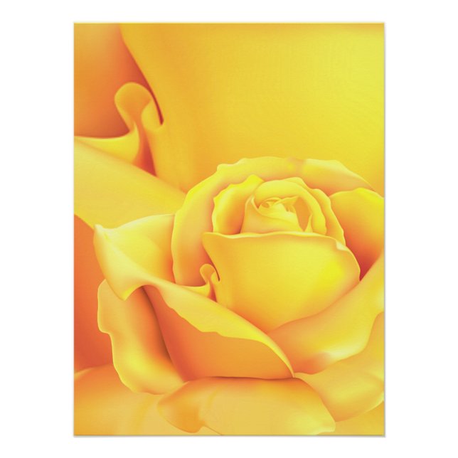 Beautiful Yellow Rose Poster (Front)