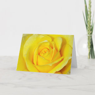Beautiful yellow rose print greeting card