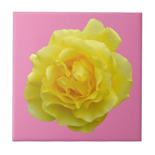 Beautiful yellow rose tile