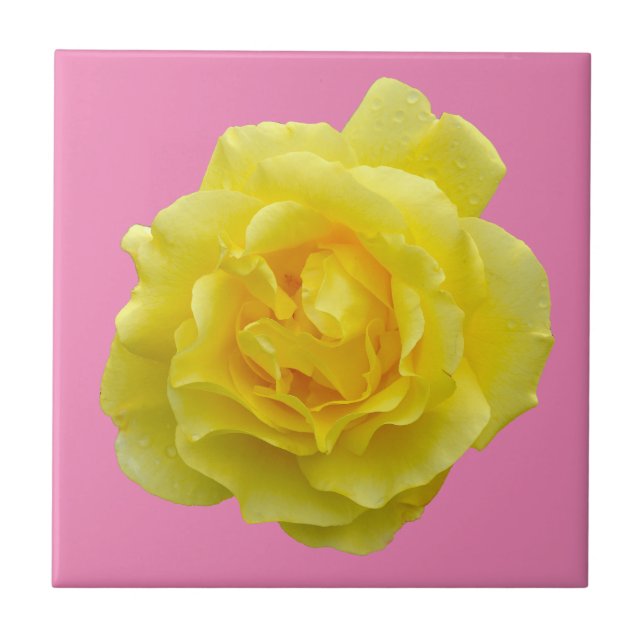 Beautiful yellow rose tile (Front)