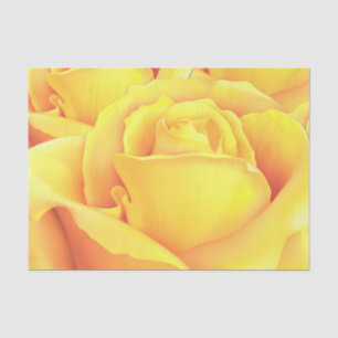 Beautiful Yellow Rose Tissue Paper