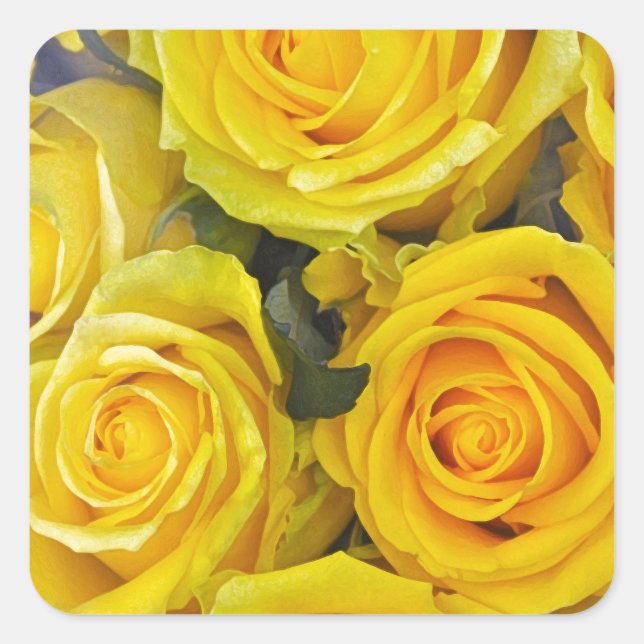 Beautiful yellow roses square sticker (Front)
