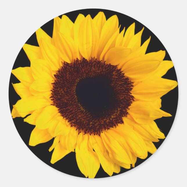 Beautiful Yellow Sunflower Sticker Envelope Seal (Front)