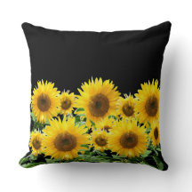 Beautiful Yellow Sunflowers on Black