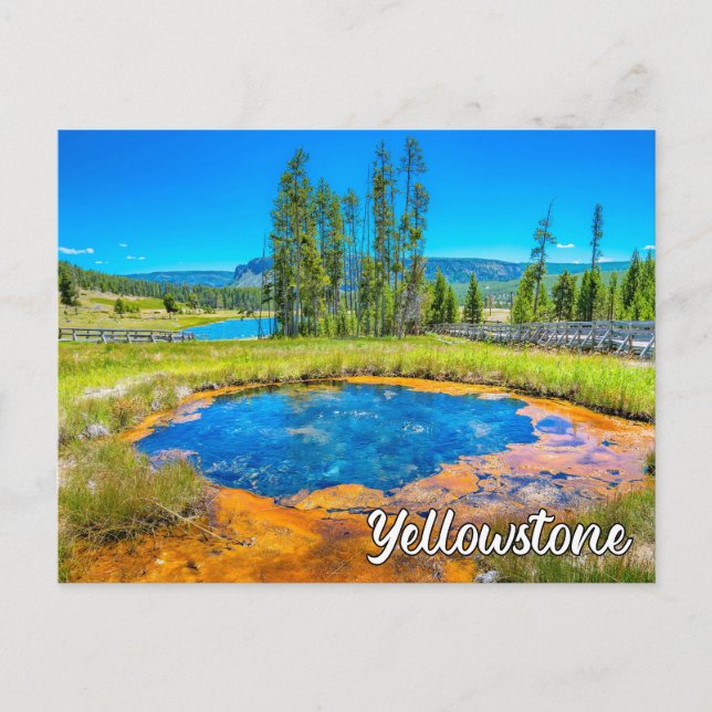 Beautiful Yellowstone National Park, United States Postcard (Front)