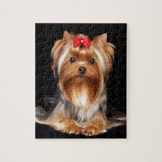 Beautiful Yorkshire Terrier Jigsaw Puzzle