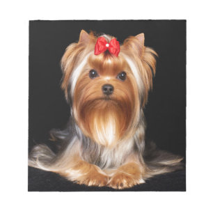 Beautiful Yorkshire Terrier Notepad
