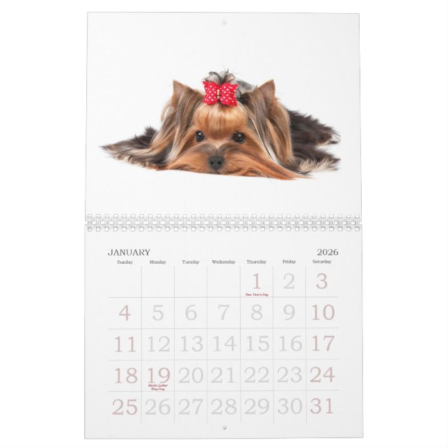 Beautiful Yorkshire Terriers Calendar (Jan 2026)