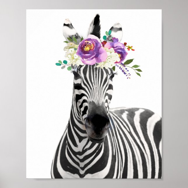Beautiful Zebra Poster (Front)