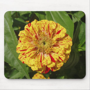 Beautiful Zinnia Mouse Mat