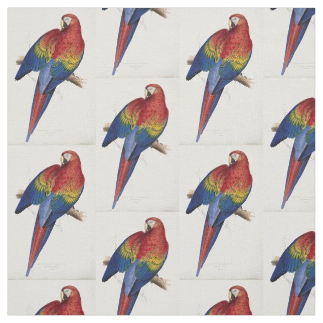 beautifully coloured macaw parrot fabric (Swatch)