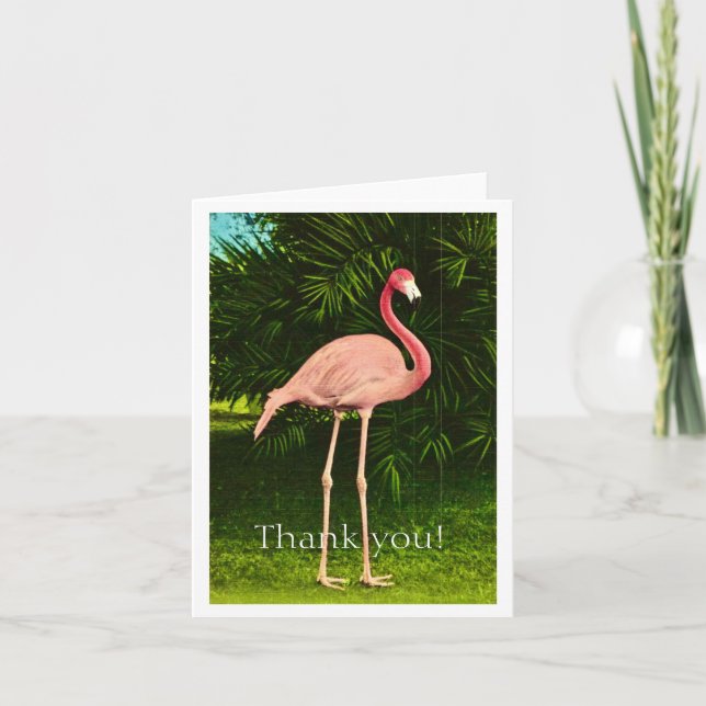 Beautifully Pink Flamingo Thank You Card (Front)