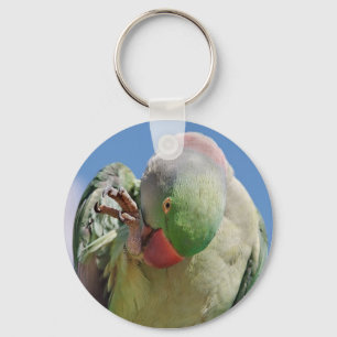 Beautifying Oneself Key Ring