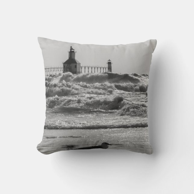 Beauty And Force Grayscale Cushion (Front)