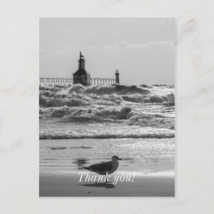Beauty And Force Grayscale Postcard