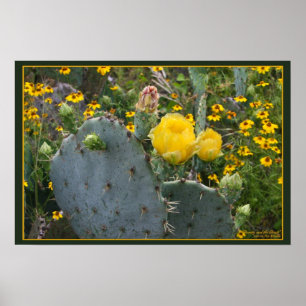 Beauty and the Beast Poster