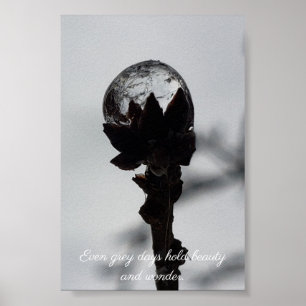 Beauty and wonder frozen raindrop poster