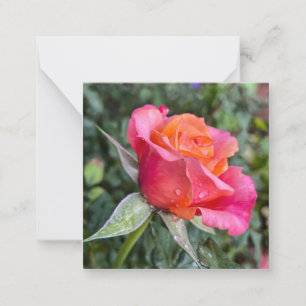Beauty Card