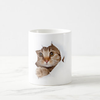 beauty cat coffe mug -grumpy kitty