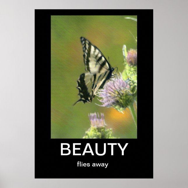 Beauty Demotivational Poster (Front)