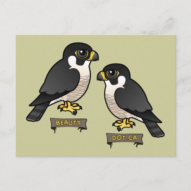 Beauty & Dot.Ca Postcard (Front)