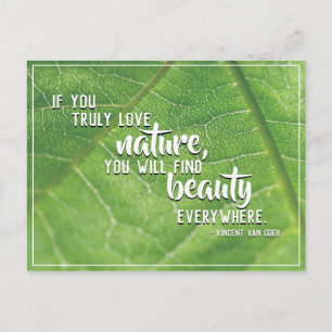 Beauty Everywhere in Nature Postcard