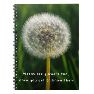Beauty eye beholder dandelion weed quote unique  notebook