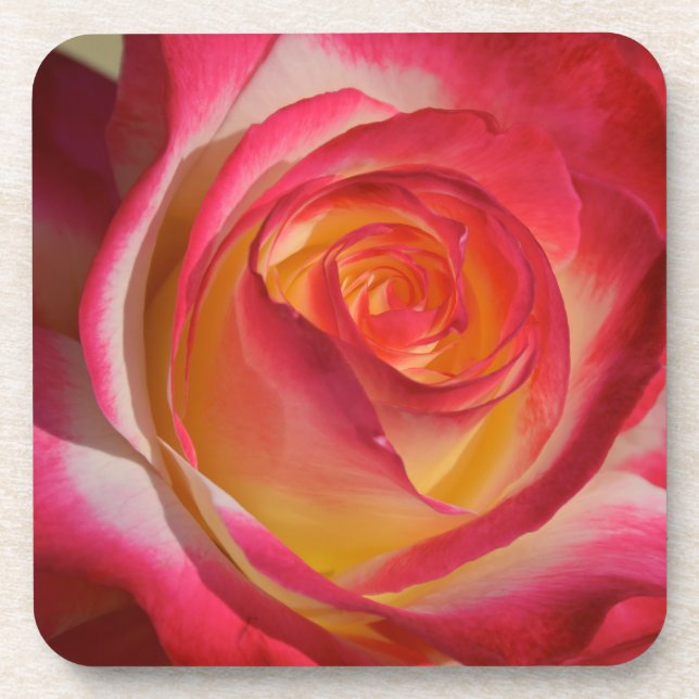 Beauty from Within Coaster (Front)
