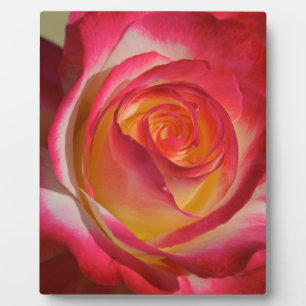 Beauty from Within Plaque