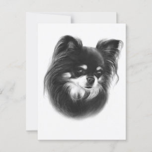Beauty - Hand Painted Chihuahua Expression Postcard