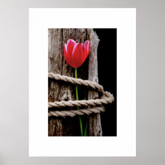 Beauty Held Hostage Post Poster