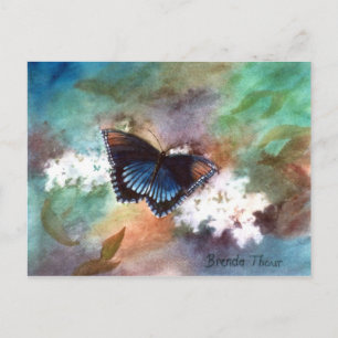Beauty II Butterfly Postcard