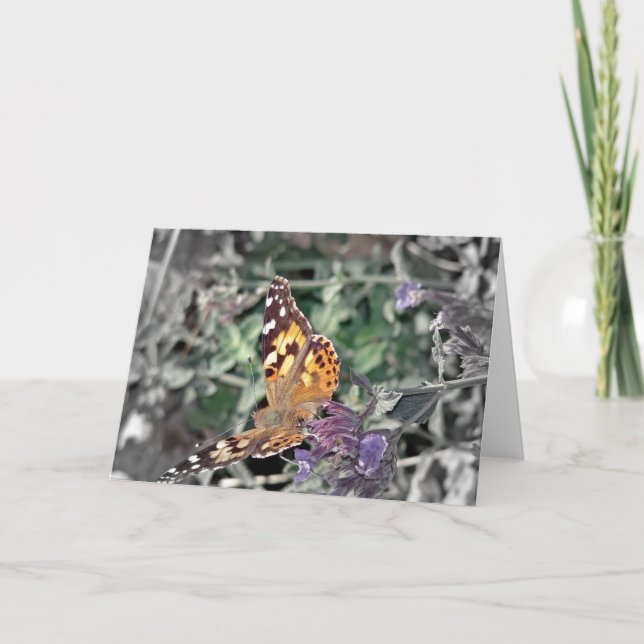 Beauty in Nature Card (Front)