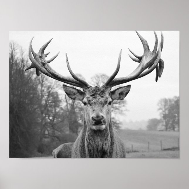 Beauty in nature poster (Front)