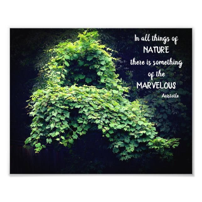 Beauty In Nature Vines Inspirational Quote 8x10 Photo Print (Front)