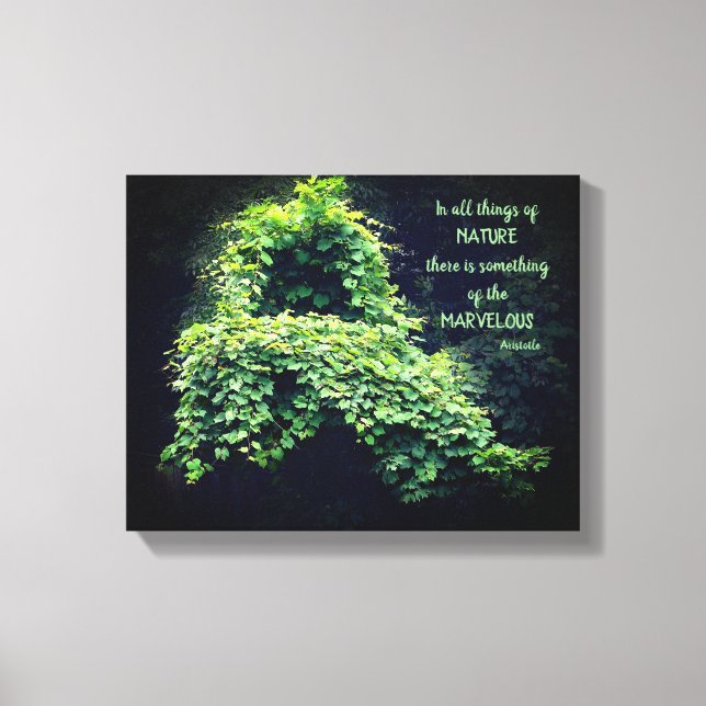 Beauty In Nature Vines Inspirational Quote Canvas Print (Front)