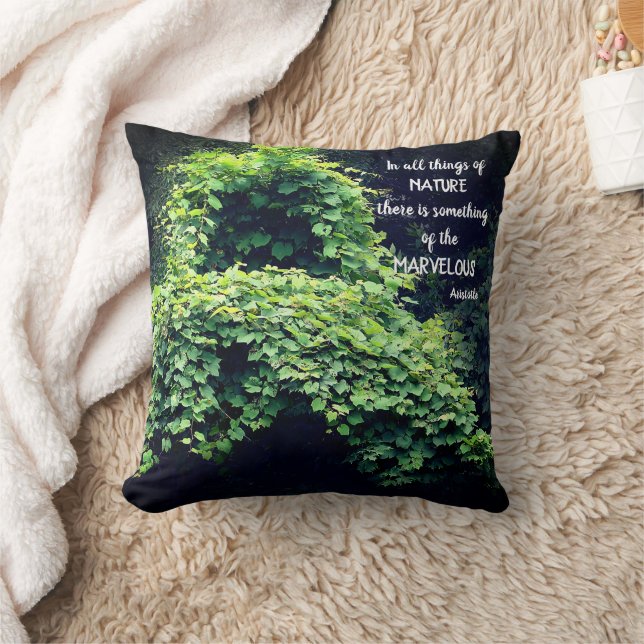 Beauty In Nature Vines Inspirational Quote  Cushion (Blanket)
