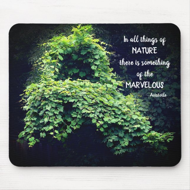 Beauty In Nature Vines Inspirational Quote  Mouse Mat (Front)