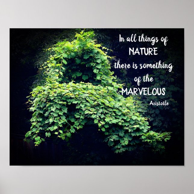 Beauty In Nature Vines Inspirational Quote Poster (Front)