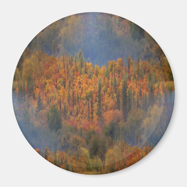 Beauty in the Fall.. Magnet (Front)